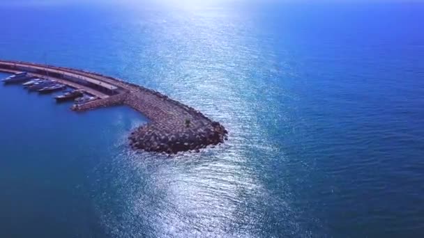 Aerial Filming Dji Mavic Pro Performing Frontal Traveling Port Background — Vídeo de stock