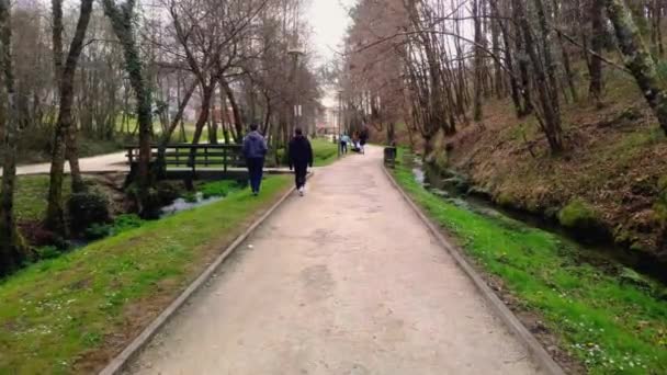 Pov Walking Couple One Walking Grass Verge Path Local Park — Stock video