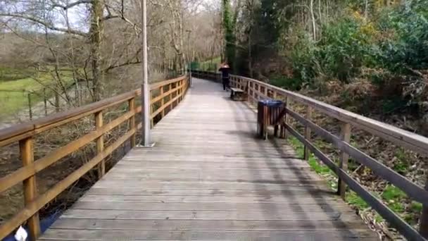 Pov Walking Elevated Wooden Promenade Local Park Ordes Corua March — Vídeos de Stock