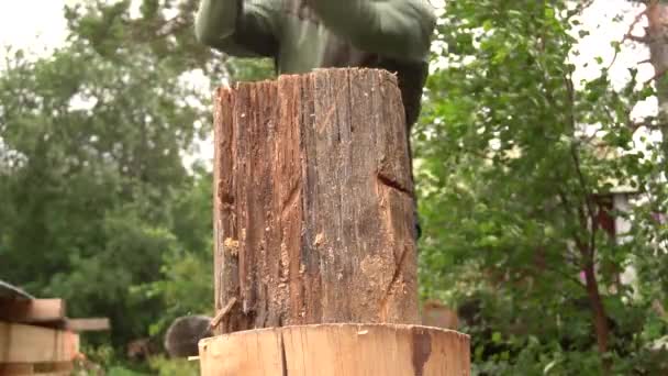 Splitting Wooden Log Half Axe Slomo — Vídeo de Stock