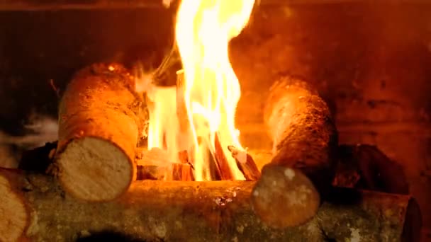 薪を火にかける — ストック動画
