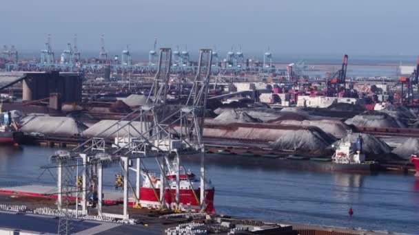 Industrielle Containerkräne Und Verankertes Frachtschiff Hafen Von Rotterdam Aus Der — Stockvideo