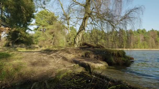 Agua Fluye Suavemente Lago Escocés Lago Agua Dulce Mientras Viento — Vídeo de stock