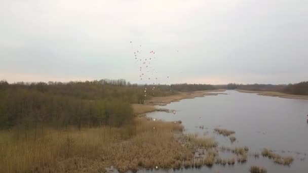ブランデンブルクドイツの完璧な結婚式の場所で湖の結婚式の春の日没で空気中を飛ぶ多くのパーティー気球の完璧な空中ドローン飛行 フィリップ マルニッツの映画的自然観 — ストック動画