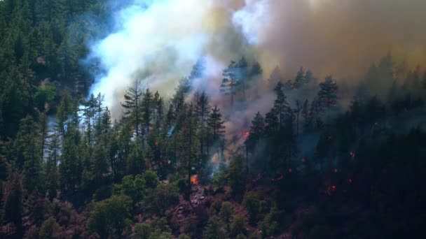 Wildfire Che Brucia Fuma Nelle Foreste Degli Stati Uniti Occidentali — Video Stock