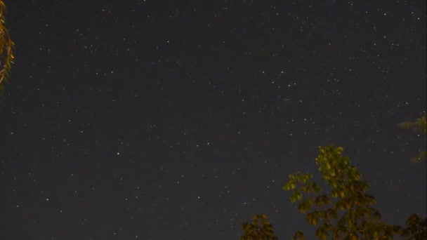 Astro Timelapse Jardin Avec Des Arbres Premier Plan — Video