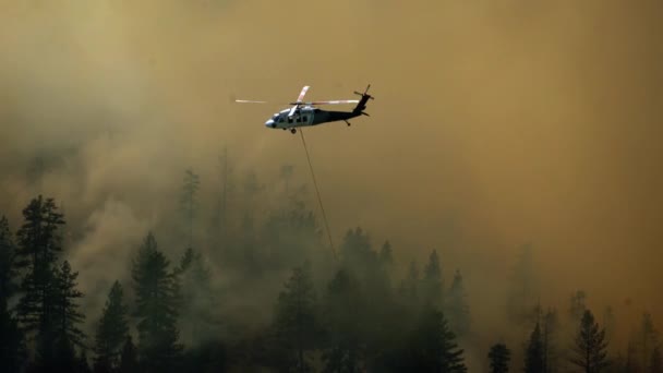Helicóptero Extintor Volando Sobre Bosque Humo Nebuloso Oeste Estados Unidos — Vídeos de Stock