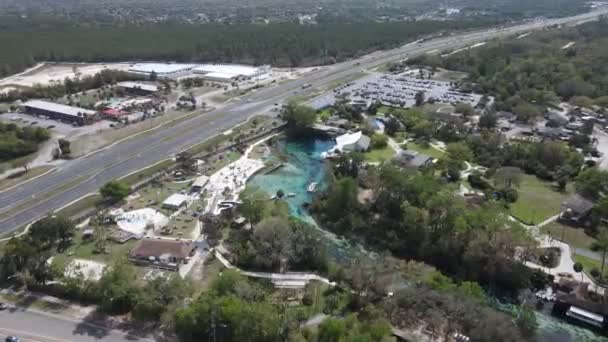 Antenne Der Wunderschönen Natürlichen Quelle Weeki Wachee Springs State Park — Stockvideo