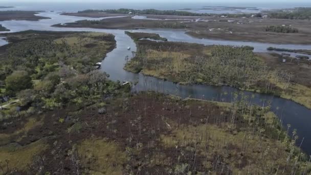 Weeki Wachee River Jenkins Creek Oásis Vida Selvagem Recreativo Weeki — Vídeo de Stock