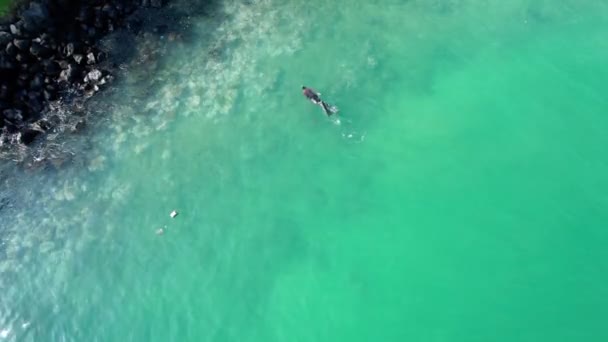 Aerial Drone View Overlooking Person Spearfishing Shallow Waters Sao Tome — Stockvideo