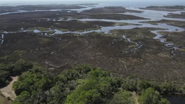 Weeki Wachee Bataklıkları Meksika Körfezi Florida Tekne Eğlence Vahası Yerel — Stok video