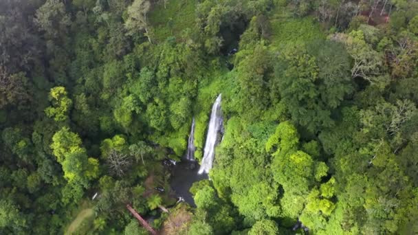 Воздушные Вершины Живописных Диких Джунглей Мощным Водопадом Реки Воды Незагрязненных — стоковое видео