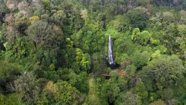 Aerial Rainforest Tropical Jungle Stream Waterfall Pure Natural Wilderness Top — Stockvideo