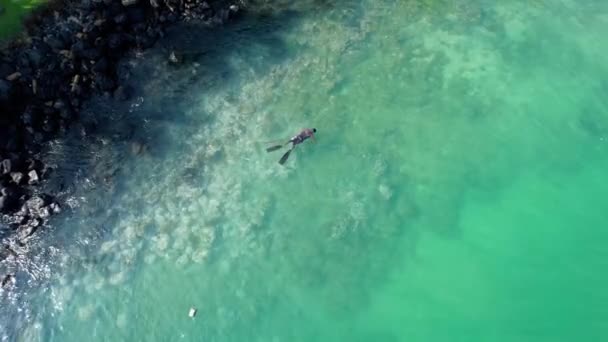 Aerial View Artisanal Spearfisher Turquoise Waters Sunny West Africa — ストック動画