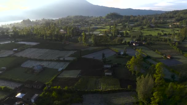 Aerial Scenic Sunset Rural Kintamani Village Bali Island Agricultural Rice — Vídeo de Stock