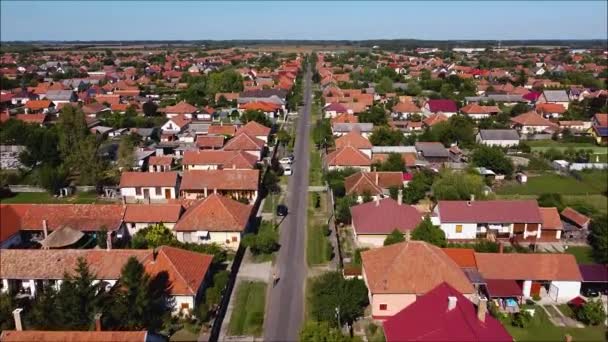 Κηφήνας Που Πετά Πάνω Από Ένα Δρόμο Μια Μικρή Ουγγρική — Αρχείο Βίντεο
