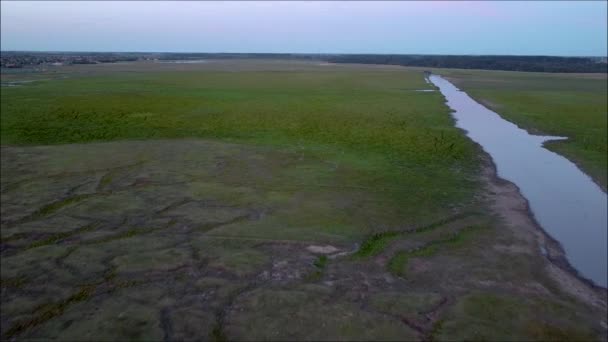 Dron Letí Přes Maďarskou Nížinu Přes Řeku Hordou Ptáků Rámu — Stock video