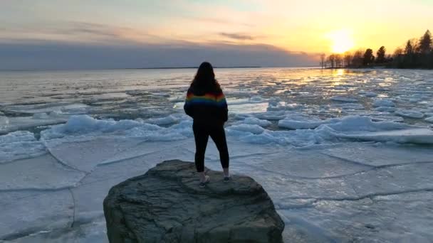 Young Women Wearing Pride Colors Jacket Rock Middle Frozen Lake — Vídeos de Stock