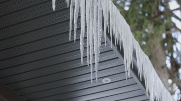 Frozen Icicles Overhang Edge Modern Roof Soffit Eavestrough Trees Background — Vídeo de Stock