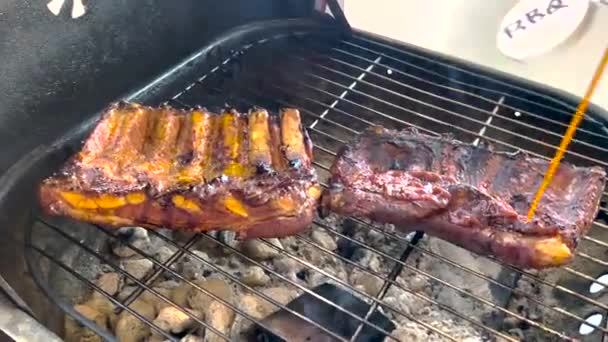 Barbecue Pork Spareribs Grill Coals Person Squirts Bbq Sauce Meat — Stockvideo