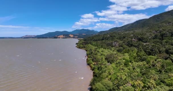Nap Áztatta Repülés Erdő Partvonalán Lake Wairarapa Zéland — Stock videók
