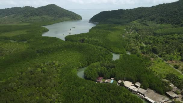 Aerial Pan Left Mangrove Forest Ocean — Vídeos de Stock