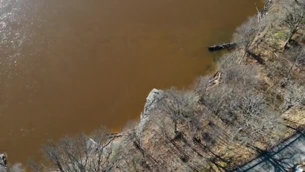 Зверху Вниз Безпілотник Вид Озеро Коричневою Водою Голі Дерева Біля — стокове відео