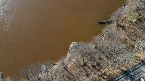 Top Drone Aerial View Lake Brown Water Bare Trees Body — Stock Video