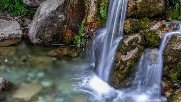 Timelapse Small Waterfall Beautiful Rainforest Daytime Beautiful Nature Landscape Stream — Vídeos de Stock
