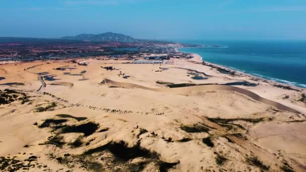 Drone Shot Large Sand Dunes Field Shoreline Pacific Coastline Summer — стокове відео