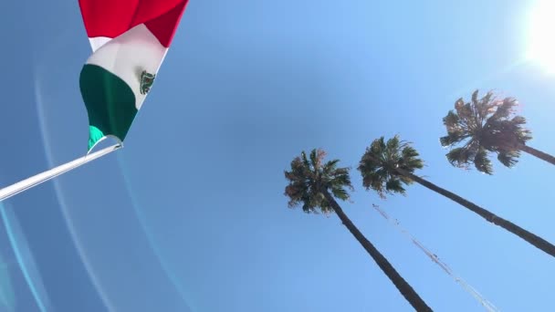 Mexican Flag Waving Wind Next Three Large Palm Trees — Stock video