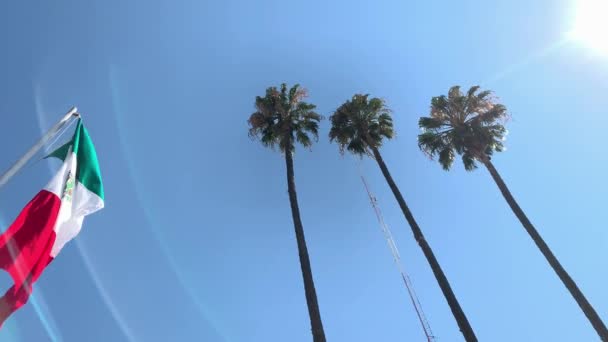 高耸的沙漠棕榈树旁边高耸的墨西哥国旗 阳光闪耀 — 图库视频影像