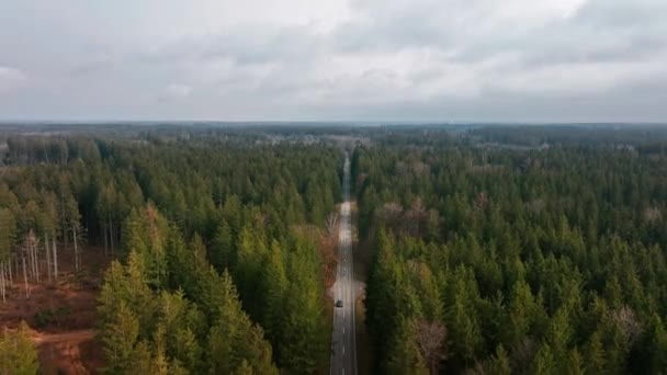 牧歌的な森の中を車で牧歌的な旅 前方の道路上の車を追跡無人偵察機を充填 — ストック動画