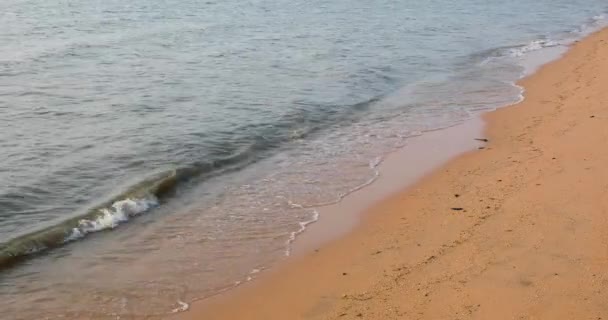 タイのパタヤのバンサレーの砂浜に沿って海の波 4Kでのティルトミディアムショット — ストック動画