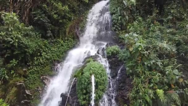 Air Terjun Kecil Hutan Kolombia — Stok Video