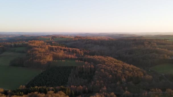 Bare Brown Forest Winter North Rhine Westphalia Germany Aerial Tracking — Wideo stockowe