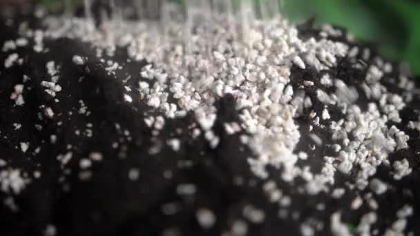 Häll Perlite Granulat Jord För Växter Närbild Slow Motion — Stockvideo