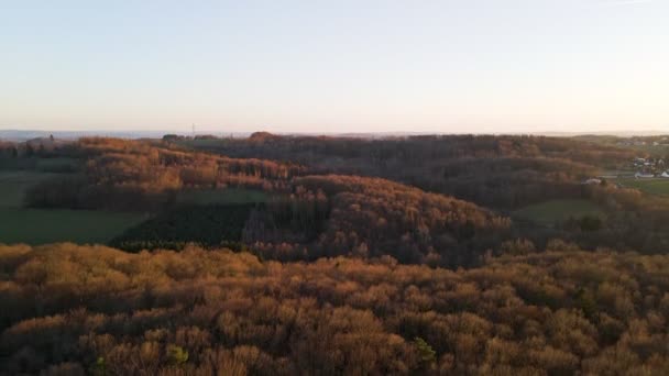 Bare Brown Trees Winter North Rhine Westphalia Germany Aerial Pedestal — Stock Video