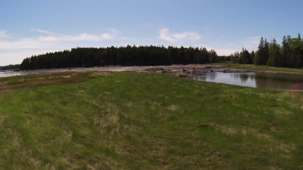 陆地海岸的平滑慢镜头在绿油油的海岸草场上空飞行 潮水暴露了岩石湿沙滩 — 图库视频影像