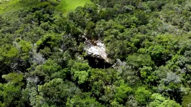 Valle Cascada Mariposas Thom Das Letras Minas Gerais Brasil — Vídeos de Stock