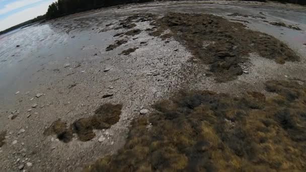 Беспилотник Замедленной Съемки Побережья Штата Мэн Приливом Обнажающим Скалистую Влажную — стоковое видео