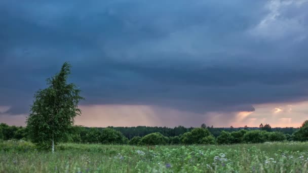 Time Lapse Shot Dark Clouds Flying Sky Green Grass Field — Αρχείο Βίντεο