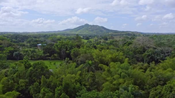 Aerial Forward Flight Tropical Scenery Bayaguana Mountain Background — Stock Video