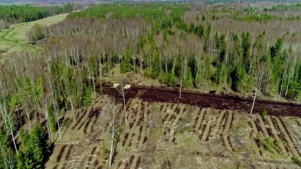 Vuelo Aéreo Sobre Bosque Destruido Después Noche Tormentosa Desmonte Forestal — Vídeo de stock