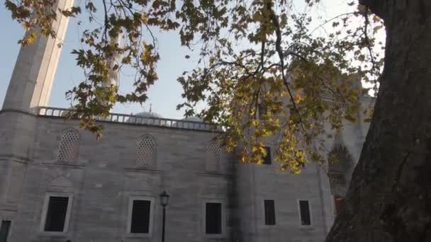 Rastreamento Movimento Através Árvore Revelando Famosa Mesquita Suleymaniye Otomana Istambul — Vídeo de Stock
