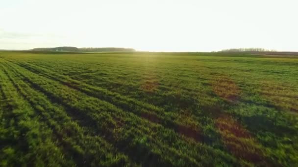 美しい夕日黄金の時間の間に田舎から撮影した空中ドローン 季節は春で 農場での農業プロセスの始まりです 畑の土は播種と食物の栽培のために準備されています — ストック動画