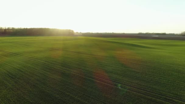 Luchtdrone Schot Van Het Platteland Tijdens Prachtige Zonsondergang Gouden Uur — Stockvideo