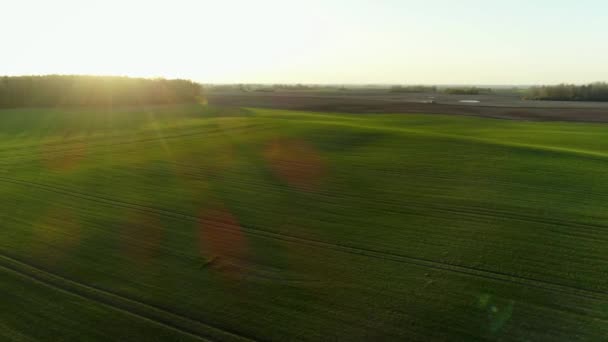 Drone Aéreo Disparado Campo Durante Bela Hora Dourada Pôr Sol — Vídeo de Stock