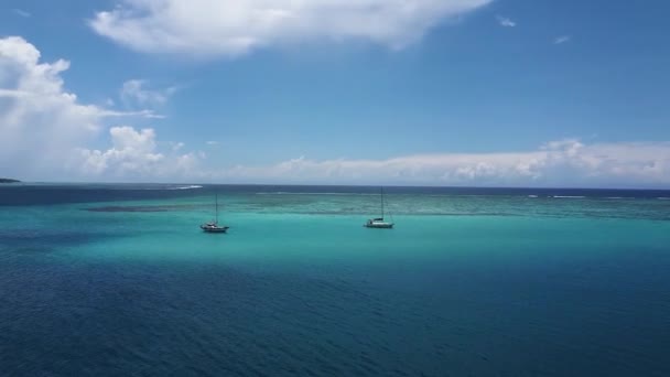 Isla Paradisíaca Tropical Vista Aérea Drones Polinesia Francesa Catamarán Veleros — Vídeo de stock