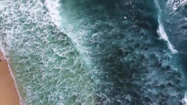 Overhead Top View Aerial Breaking Waves Hawaii Seashore — Video Stock